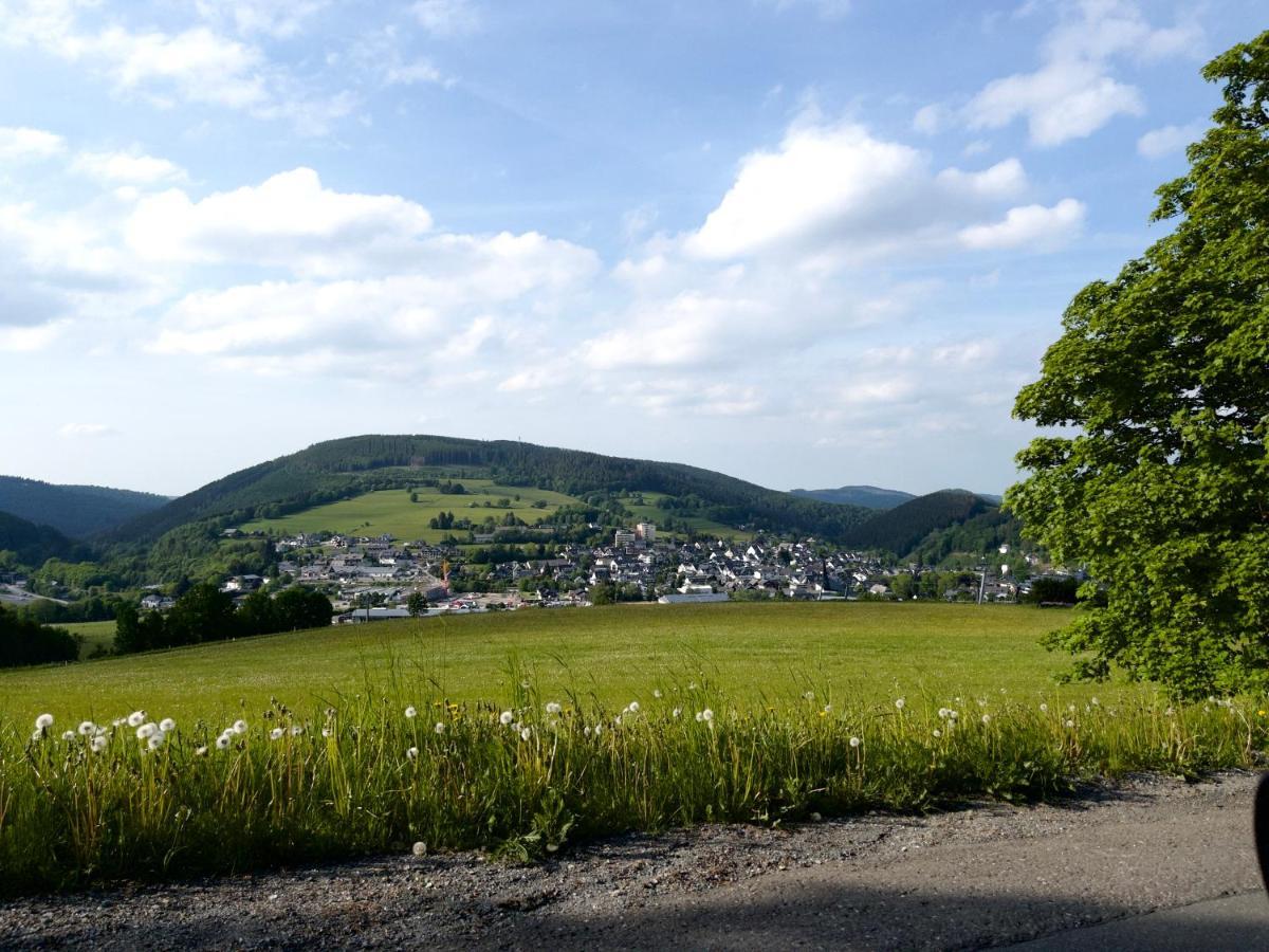 Fewo Bergperle Willingen  Extérieur photo